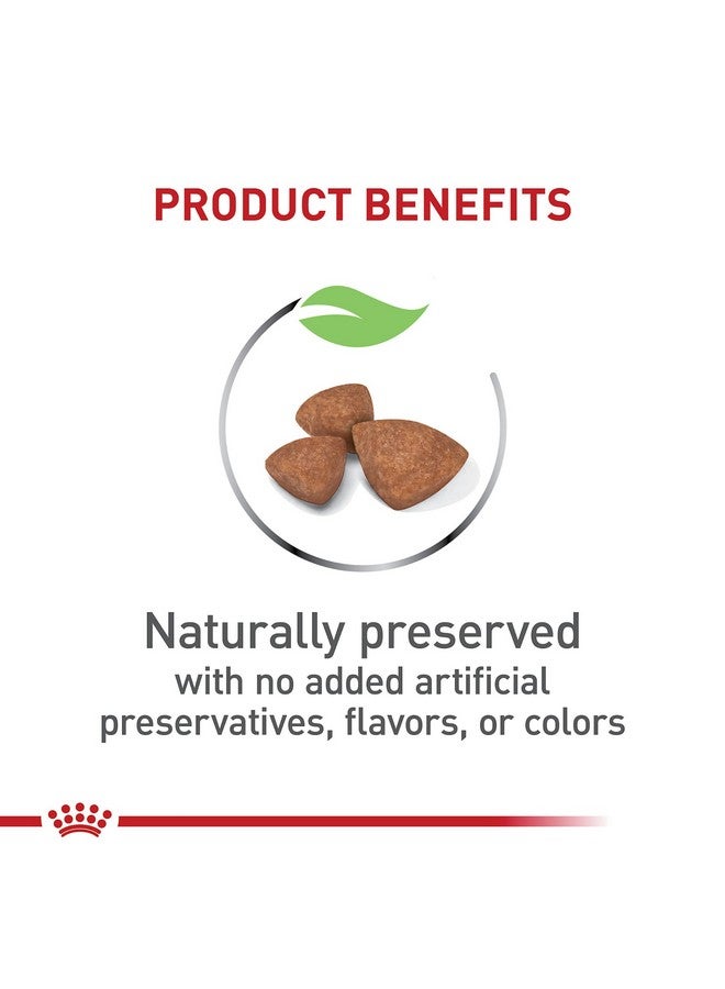 رويال كانين طعام جاف للجراء من رويال كانين سايز هيلث نيوتريشن للسلالات الصغيرة جدًا، يدعم نمو الدماغ، ويدعم المناعة، ويحافظ على صحة الجهاز الهضمي، كيس 3 أرطال - Image 4