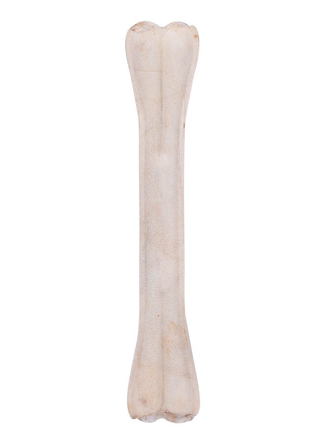 Glenand Large Bone for Dogs - Image 3