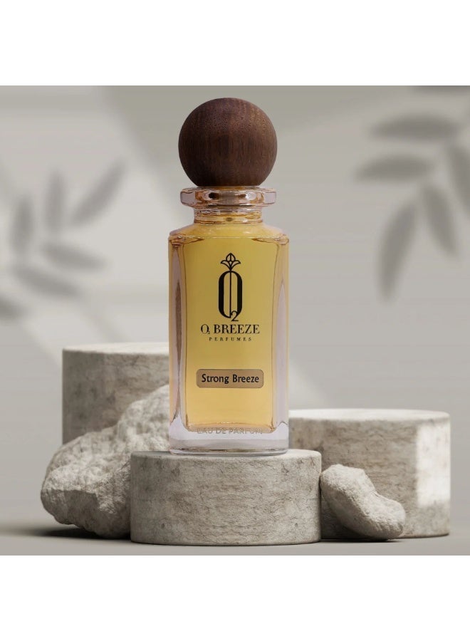 روطعلل زيرب عطر سترونج بريز للرجال 75 مل | عطر عربي يدوم طويلاً | رائحة فاخرة قوية - Image 2