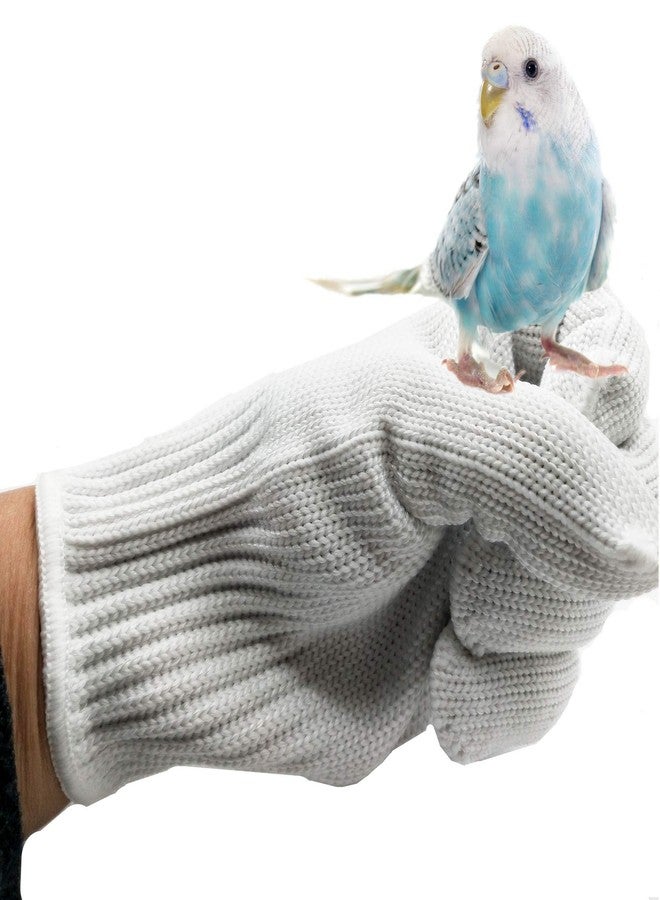 alfyng Bird Training Anti-Bite Parrot Chewing Protective Gloves, Small Animal Handling Gloves for Parrotlets Cockatiels Finch Macaw (1 Pair White) - Image 1