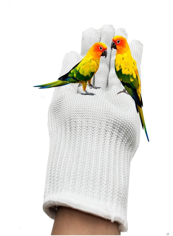 alfyng Bird Training Anti-Bite Parrot Chewing Protective Gloves, Small Animal Handling Gloves for Parrotlets Cockatiels Finch Macaw (1 Pair White) - Image 4