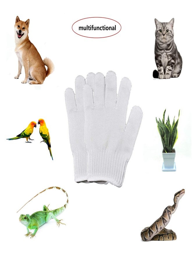 alfyng Bird Training Anti-Bite Parrot Chewing Protective Gloves, Small Animal Handling Gloves for Parrotlets Cockatiels Finch Macaw (1 Pair White) - Image 5