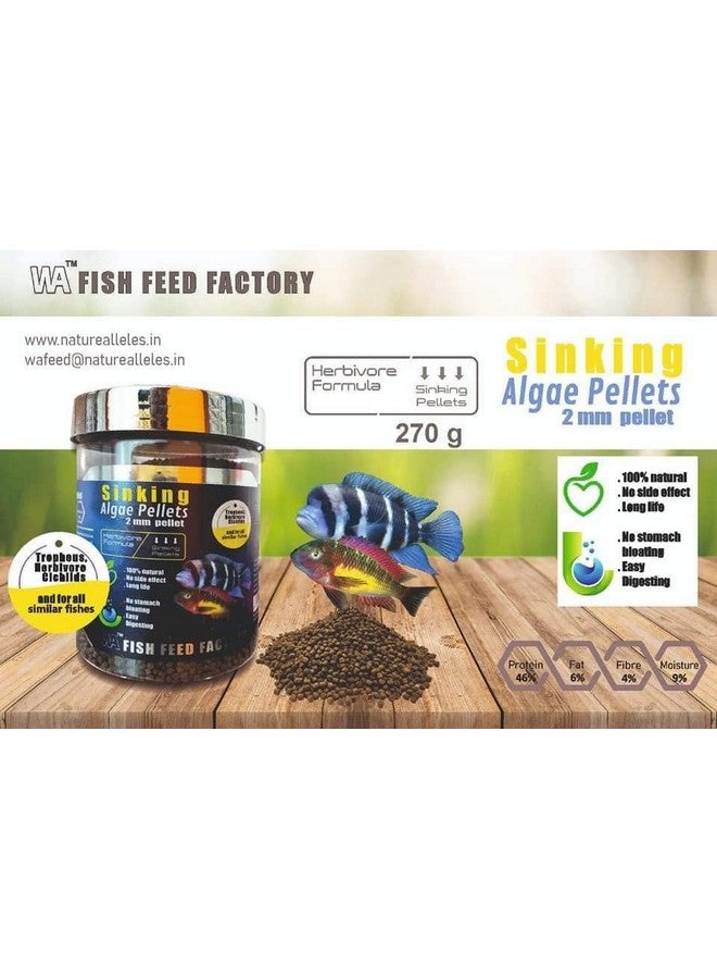 VAYINATO Wa Sinking Algae Pellets (Size : 2Mm Pellet), 500Ml (270G) | Tropheus, Herbivore, Cichilds And For All Similar Fishes - Image 2