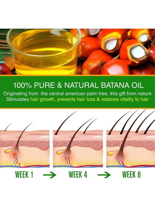 Organic Essentials - Batana Oil For Hair Growth - Batana Oil Cold Pressed Derived From Palm Nut - Helps Hair Grow Stronger -Hair And Skin Care Oil (Pack Of 1, 30 Ml) - Image 1