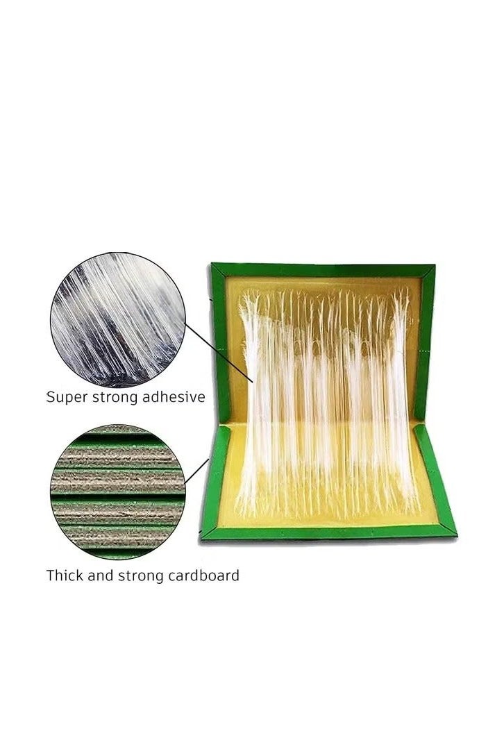 Generic 5-Piece Mouse And Rat Glue Traps Yellow/Green 23cm  - Image 2