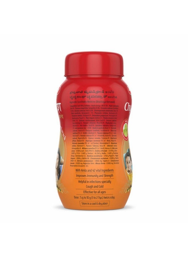 Baidyanath بايدياناث أصلي أيورفيدا شياوانبراش أفاليها 250غ | أيورفيدي وطبيعي | مناسب لجميع الأعمار | يدعم المناعة والصحة العامة | مصنوع من 42+ عشبة أيورفيدا - Image 3