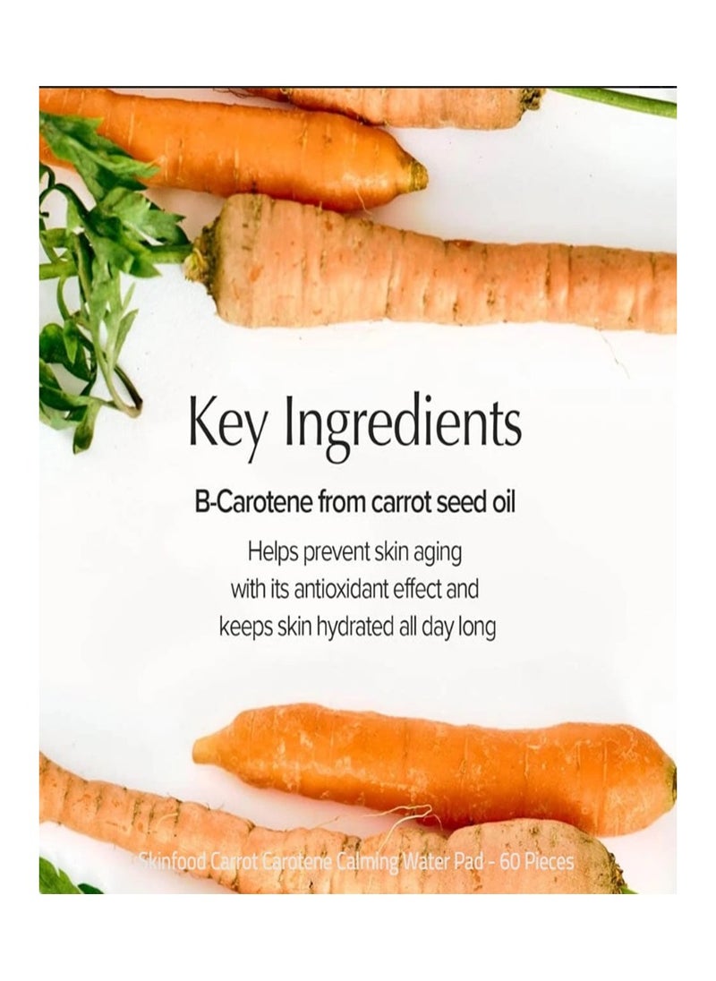 Skinfood - Skinfood Carrot Carotene Calming Water Pad (60pads / 250g) - Image 1