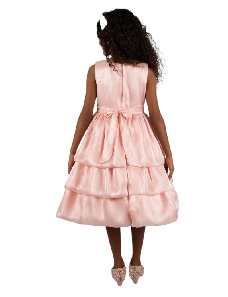 D'Daniela Layered Taffeta Dress