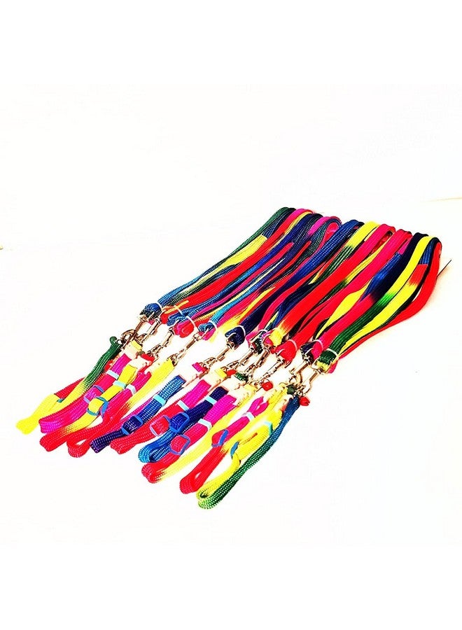 طقم طوق نايلون بألوان قوس قزح للكلاب الصغيرة والجراء ومجموعة مقود - Image 2