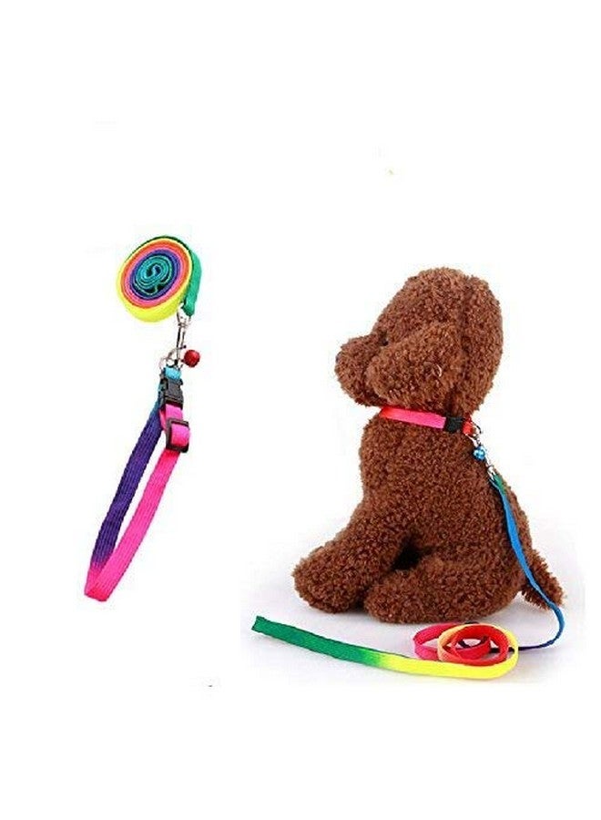طقم طوق نايلون بألوان قوس قزح للكلاب الصغيرة والجراء ومجموعة مقود - Image 1