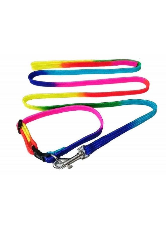 طقم طوق نايلون بألوان قوس قزح للكلاب الصغيرة والجراء ومجموعة مقود - Image 4