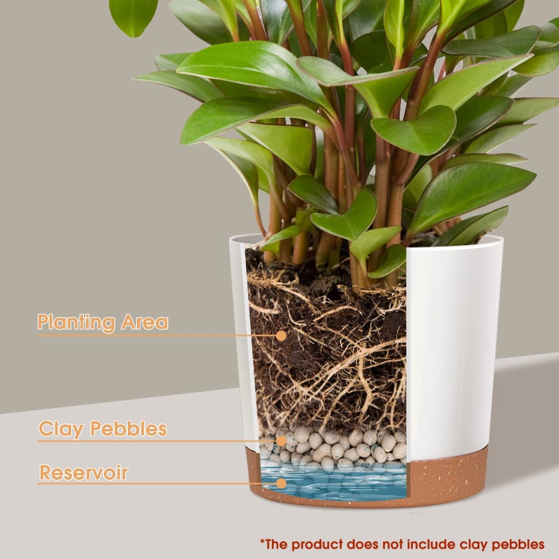 kubvici Plant Pots for Indoor Plants, 2 Pack 10 Inch Plant Pot Plastic Flower Pots Planters with Drainage Saucer for Indoor Outdoor Garden Home (10" White) - Image 2