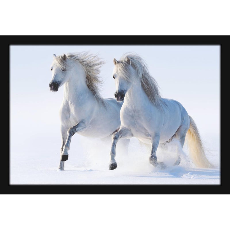 Mad Masters 2 White Horses Painting Hanging Photo Frame Decorative Item for Living Room Bedroom Home Decor and Wall Decoration MM 1399 8x12 Inch Paper With Plexi Glass