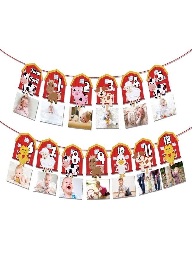 Lide Road Farm Animal Theme Photo Banner 1st Birthday Monthly Banner Newborn to 12 Month Photo Display Milestone Photograph for Barnyard First Birthday Party Decorations Supplies - Image 3