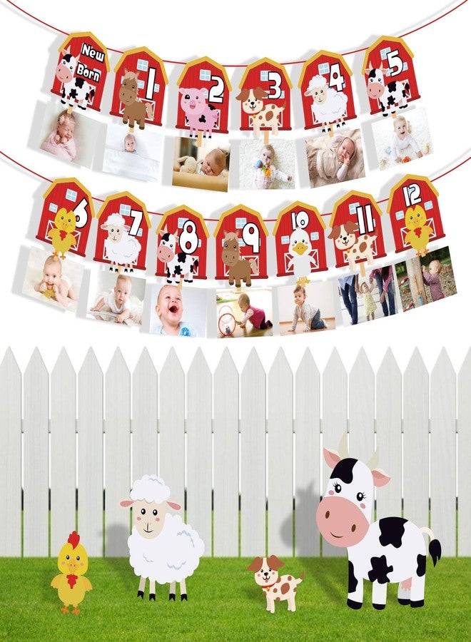 Lide Road Farm Animal Theme Photo Banner 1st Birthday Monthly Banner Newborn to 12 Month Photo Display Milestone Photograph for Barnyard First Birthday Party Decorations Supplies - Image 5