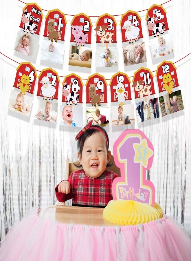 Lide Road Farm Animal Theme Photo Banner 1st Birthday Monthly Banner Newborn to 12 Month Photo Display Milestone Photograph for Barnyard First Birthday Party Decorations Supplies - Image 4
