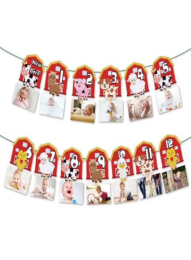 Lide Road Farm Animal Theme Photo Banner 1st Birthday Monthly Banner Newborn to 12 Month Photo Display Milestone Photograph for Barnyard First Birthday Party Decorations Supplies - Image 1