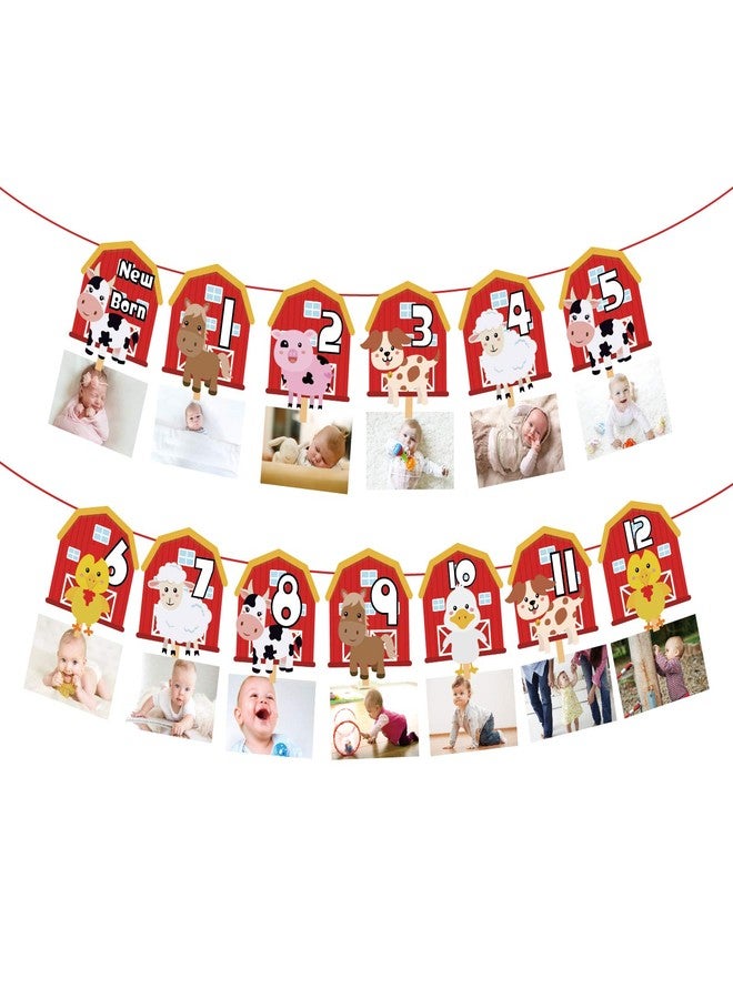 Lide Road Farm Animal Theme Photo Banner 1st Birthday Monthly Banner Newborn to 12 Month Photo Display Milestone Photograph for Barnyard First Birthday Party Decorations Supplies - Image 2