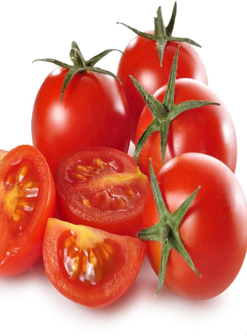 جي جوت 100 قطعة من بذور الطماطم، خضراوات سنوية، فاكهة حمراء زاهية، لحمية وعصيرية، مناسبة للزراعة في الحدائق الخارجية، قدرة قوية على التكيف، سهولة الصيانة - Image 3