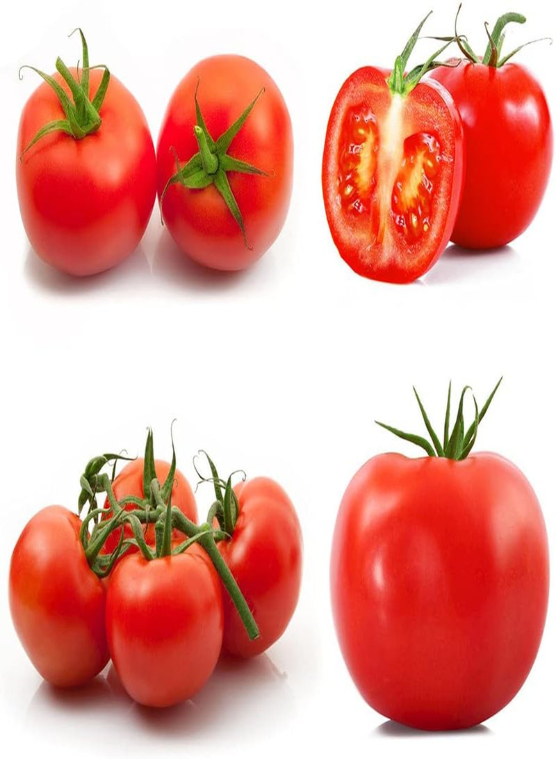 جي جوت 100 قطعة من بذور الطماطم، خضراوات سنوية، فاكهة حمراء زاهية، لحمية وعصيرية، مناسبة للزراعة في الحدائق الخارجية، قدرة قوية على التكيف، سهولة الصيانة - Image 1