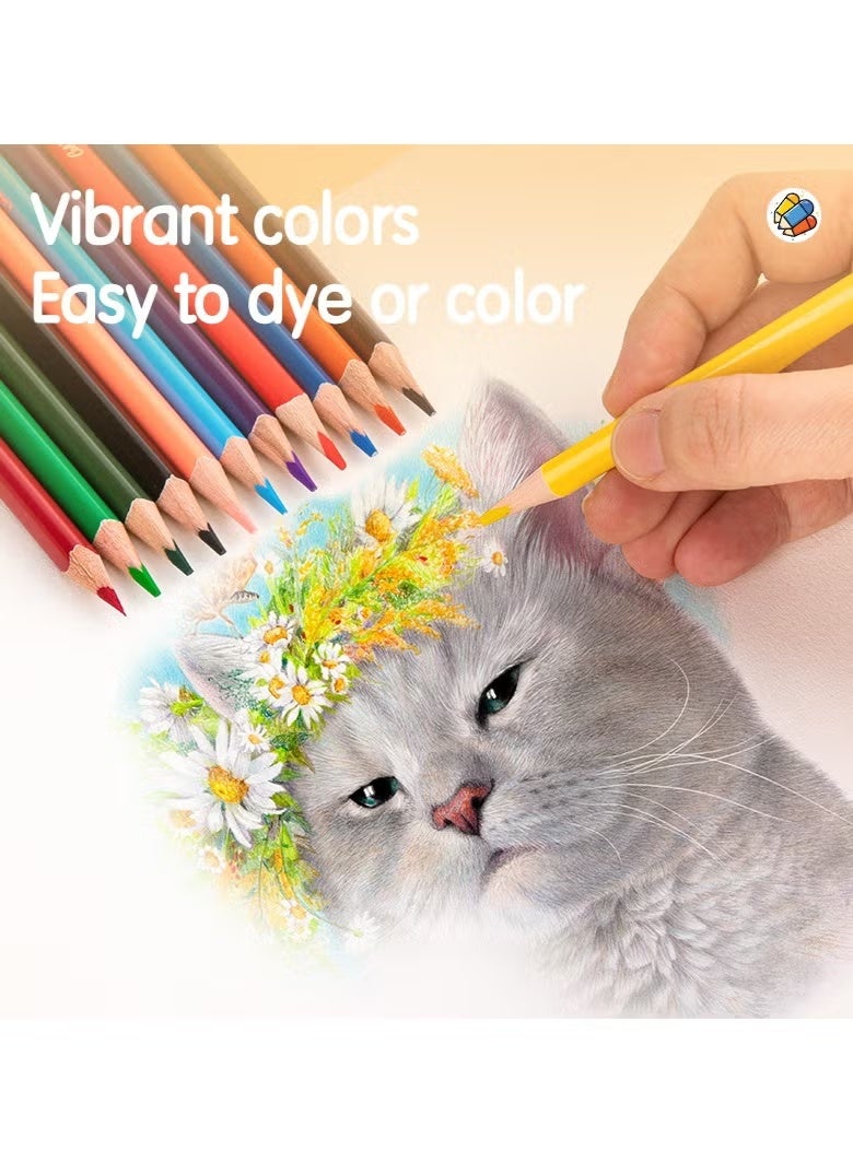 ديلي أقلام تلوين من خشب الزيزفون من ديلي EC00300 - 12 لونًا مثلثًا - Image 4