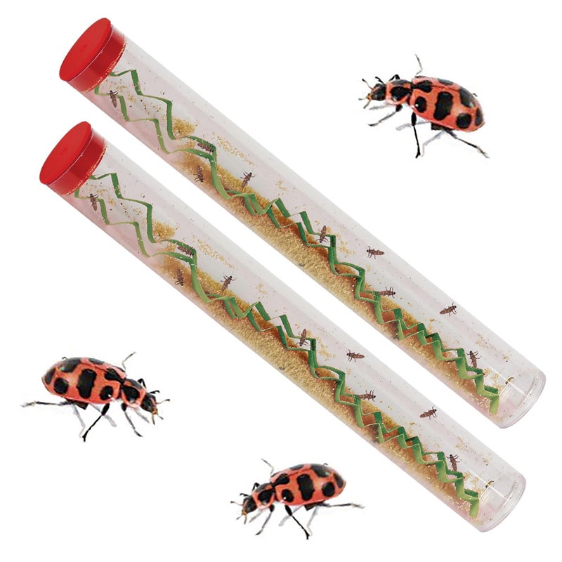 Insect Lore Two Tubes of Live Ladybug Larvae - Raise 20-25 Pink Spotted Ladybugs - Life Science and STEM Education - Habitat Refill - Image 3