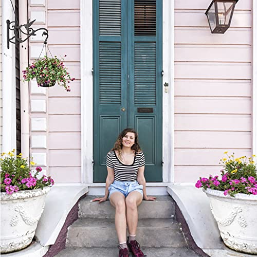 FLORWOD 2pcs Plant Hangers Outdoor Heavy Duty for Wall 10 Inch, Decorative Plant Bracket Lantern Hooks Rustic Iron, Hummingbird Style - Image 5