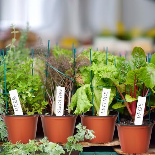 Bluckincle 100 Pcs Plant Nursery Pots 4 Inch Small Plant Seedling Pots with Labels Plastic Plant Flower Pots with Drainage Holes Indoor Outdoor for Succulent Cutting Transplanting - Image 3