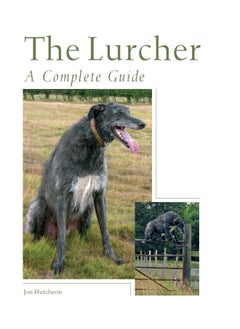 The Lurcher: A Complete Guide