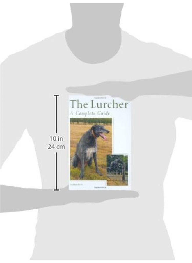 null - The Lurcher: A Complete Guide - Image 1