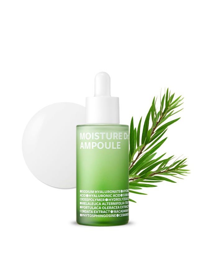 ISOI Moisture Dr. Ampoule 40ml (1.35 fl.oz) | Hydrating Soothing Daily Facial Serum for Dry and Sensitive Skin with Tea Tree Ceramide, Hyaluronic Acid | Skin Barrier Repair | Korean Skincare - Image 1