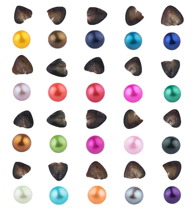 SEASAN محار المياه العذبة المستزرع من SEASAN مع لآلئ داخلها 20 قطعة (7-8 مم) - Image 1