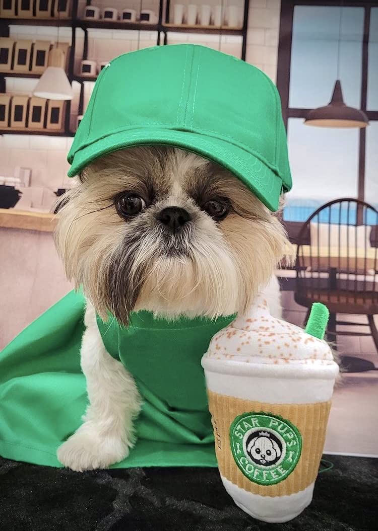 Nestpark Parody Star Pups Coffee Dog Toy Pup'kin Spice Latte - Funny Plush Squeaky Crinkle Dog Toys for Medium, Small and Large for Dog Birthday - Image 2