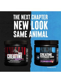 ANIMAL Creatine Chews Tablets - Enhanced Creatine Monohydrate With Astragin To Improve Absorption, Sea Salt For Added Pumps, Delicious And Convenient Chewable Tablets - Grape  - Image 2