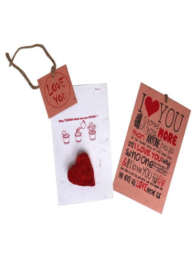 SURPRISE SOMEONE فاجئ شخصًا ما! مجموعة هدايا عيد الحب: قلب بذور قابل للزراعة، ومفكرة حب، وقلم قابل للزراعة، في صندوق بنافذة مع بطاقة تعريف | هدية رومانسية مصنوعة يدويًا لأعياد الميلاد والذكرى السنوية وعيد الحب - Image 3