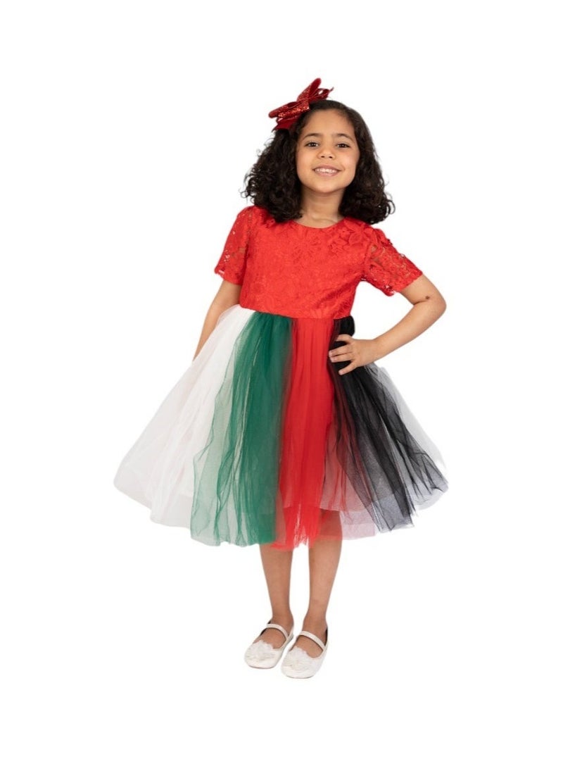 D'Daniela Festive Tulle Dress - Image 1