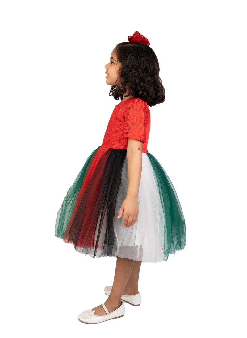 D'Daniela Festive Tulle Dress - Image 3