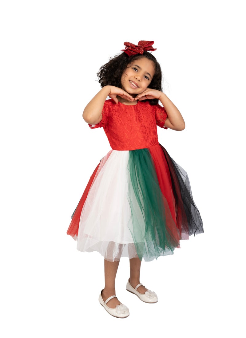 D'Daniela Festive Tulle Dress - Image 2