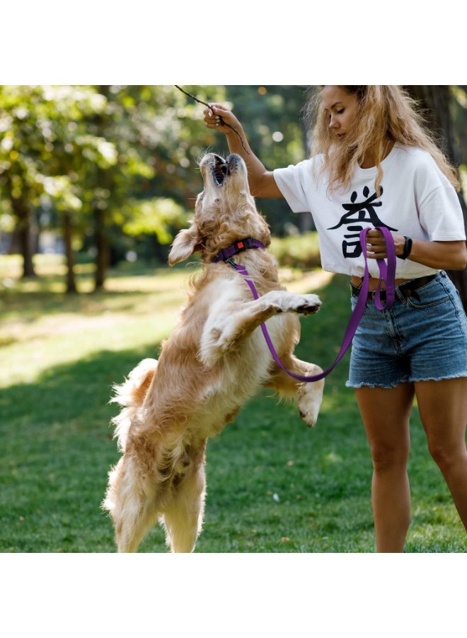 CollarDirect Reflective Dog Collar for a Small, Medium, Large Dog or Puppy with a Quick Release Buckle - Boy and Girl - Nylon Suitable for Swimming (18-26 Inch, Purple) - Image 2