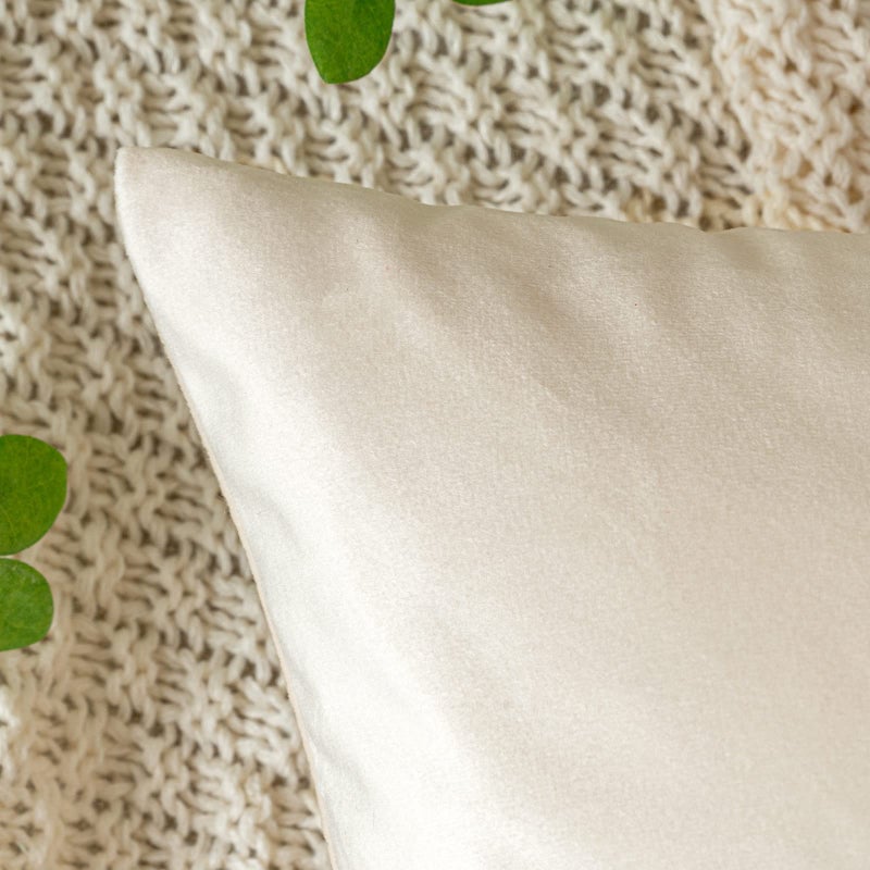 EMEMA Pack of 2 Velvet Throw Pillow Covers Decorative Square Pillowcase Soft Solid Cushion Case for Sofa Bedroom Chair Car 20x20 Inch Cream White - Image 2