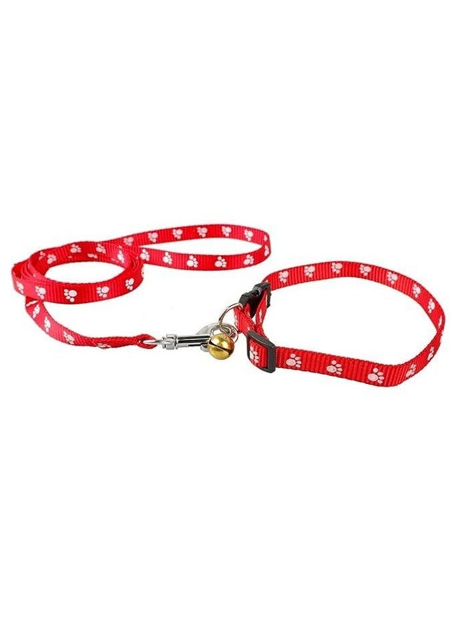 طقم طوق نايلون مطبوع قابل للتعديل للاستخدام اليومي أثناء المشي والتدريب مع 10 مم - أحمر - Image 1