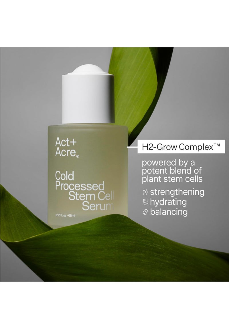 Act+Acre ACT+ ACRE Cold Processed Stem Cell Scalp Serum - Promotes Thicker and Fuller-Looking Hair - Soothes and Hydrates the Scalp - Sulphate and Paraben Free - Aloe Vera for Improved Scalp Health - 1 fl oz. - Image 2