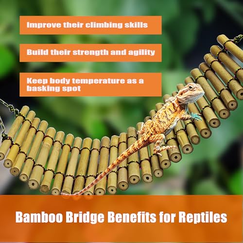 Furatune Bearded Dragon Tank Accessories, Reptile Climbing Hammock Bridge, Lizard Lounger Bamboo Ladder, Reptile Tank Accessories for Habitat, 12 x6 in - Image 3