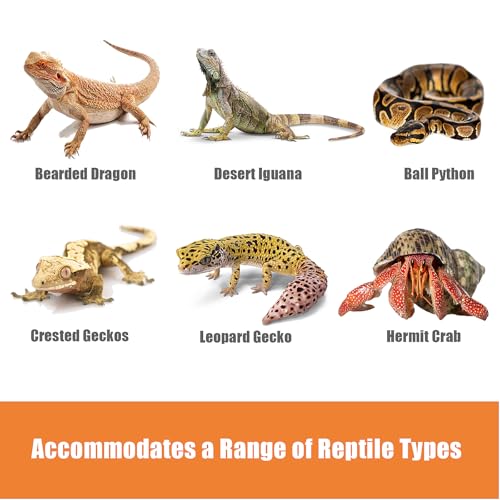 Furatune Bearded Dragon Tank Accessories, Reptile Climbing Hammock Bridge, Lizard Lounger Bamboo Ladder, Reptile Tank Accessories for Habitat, 12 x6 in - Image 5