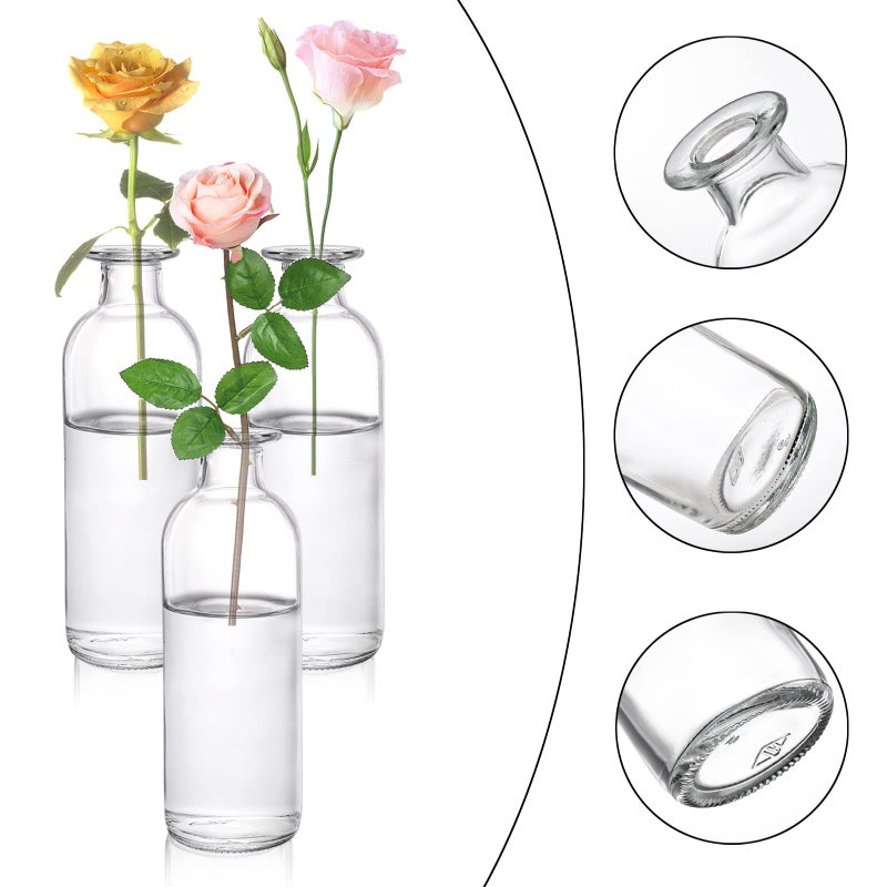Peohud Set of 12 Glass Bud Vases, Clear Small Flower Vases, Decorative Glass Bottles Floral Vases for Home Decor, Wedding Reception, Party - Image 3