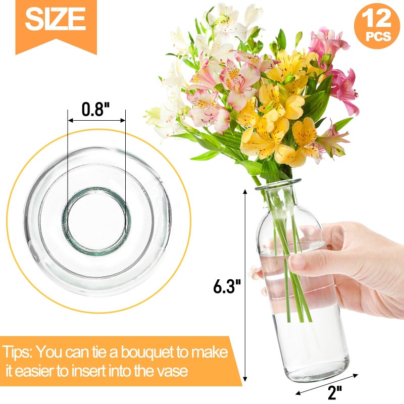 Peohud Set of 12 Glass Bud Vases, Clear Small Flower Vases, Decorative Glass Bottles Floral Vases for Home Decor, Wedding Reception, Party - Image 2