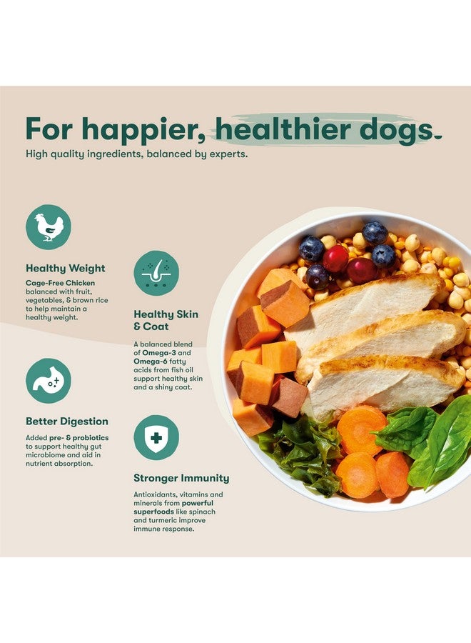 جينكس طعام الكلاب الجاف جينكس الفاخر الخالي من الحبوب، لجميع مراحل الحياة - قطع دجاج حقيقية، بطاطا حلوة وجزر مع أطعمة فائقة لدعم المناعة وبروبيوتيك لدعم الهضم - بدون مواد مالئة - 4 أرطال - Image 3