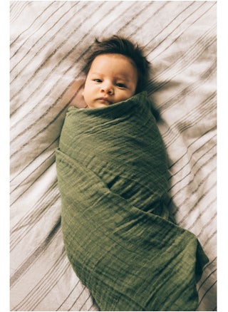 Cotton Muslin Single Swaddle Fern - pzsku/Z8D31B354E8826FE60E22Z/45/1746204269/e884bba0-9fb7-4234-870e-bb5ce7250783