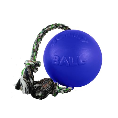 Jolly Pets RompnRoll Rope and Ball Dog Toy 45 InchesSmall Blue 645 BL for Small Breeds - Image 1
