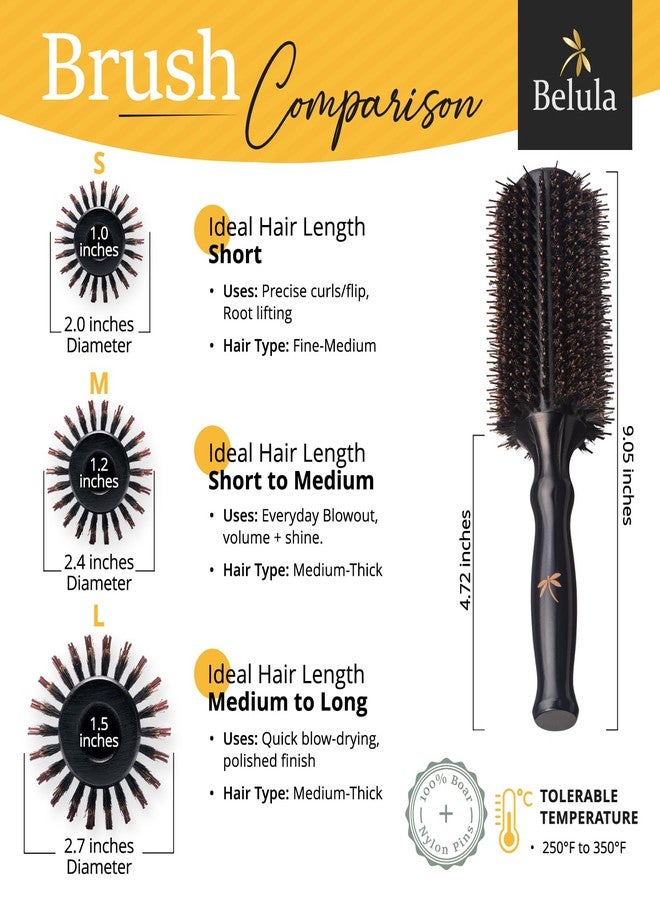 Belula Boar Bristle Round Brush for Blow Out Set by Belula. Round Hair Brush For Blow Drying. Small 2” Wooden Barrel. Hairbrush Ideal to Add Volume and Body. Free 3 x Hair Clips & Travel Bag - Image 4